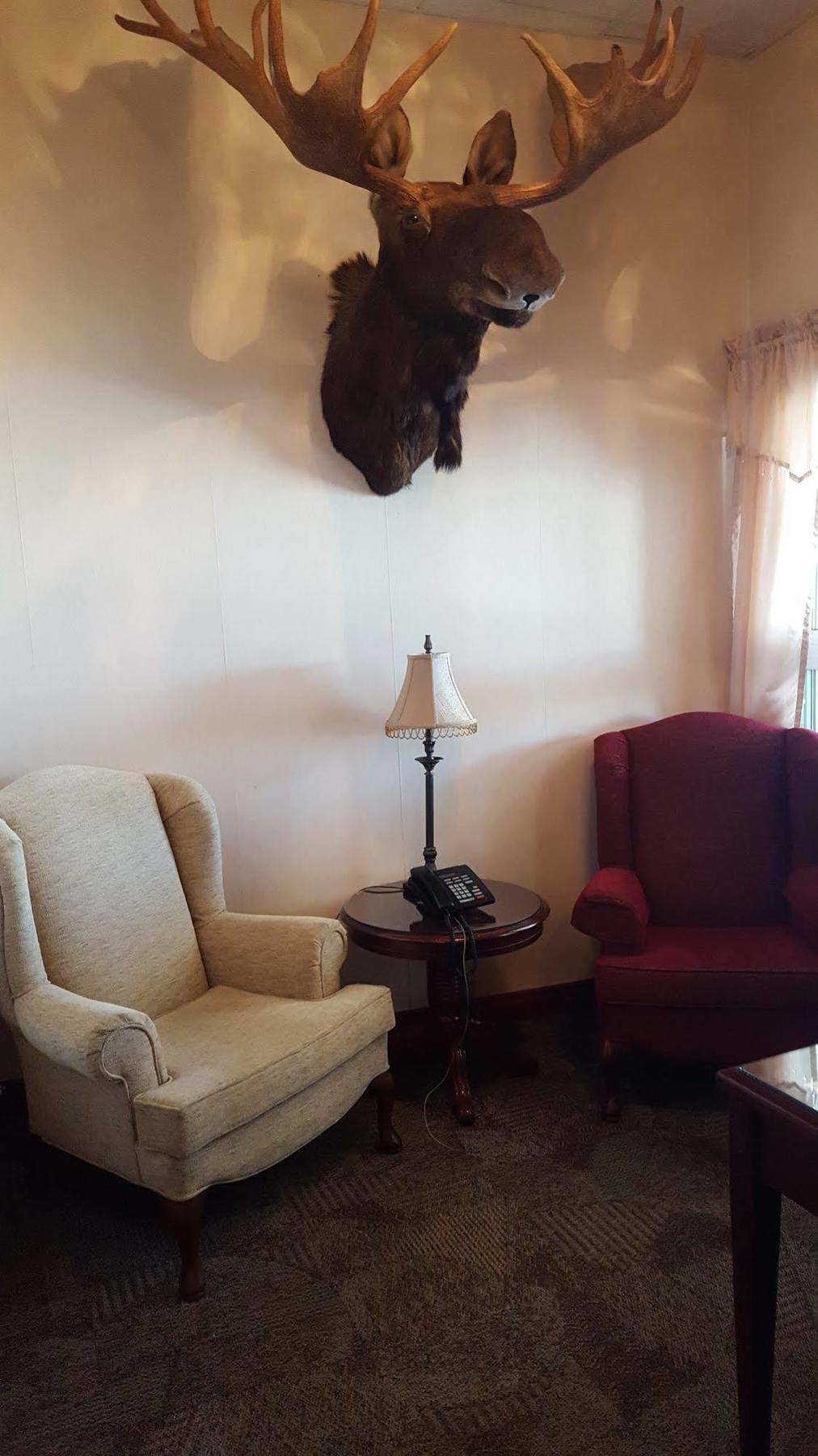 Hotel Port Aux Basques Luaran gambar